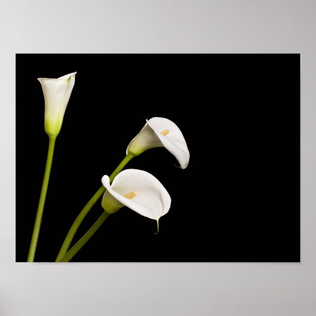Impression calla (Devant)