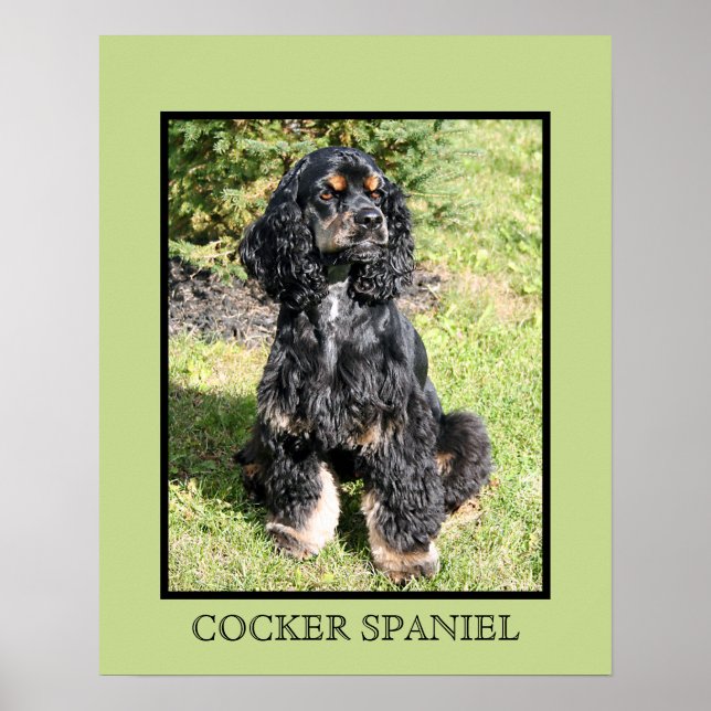 Impression Cocker Spaniel (Devant)