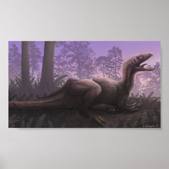 Impression concavenant (Devant)