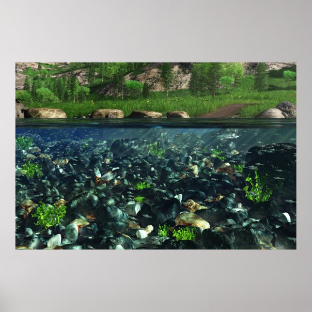 Impression Cwm River (Devant)