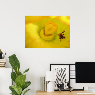 Impression d'abeille dans une fleur de courgette