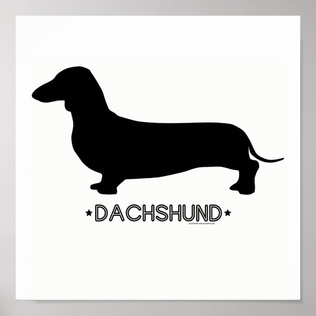 Impression Dachshund (Devant)