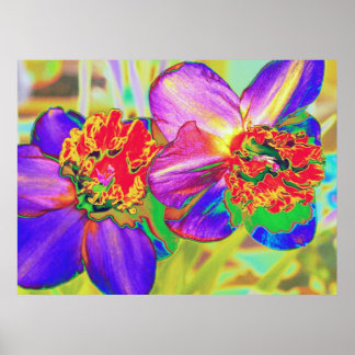 Impression daffodique colorée