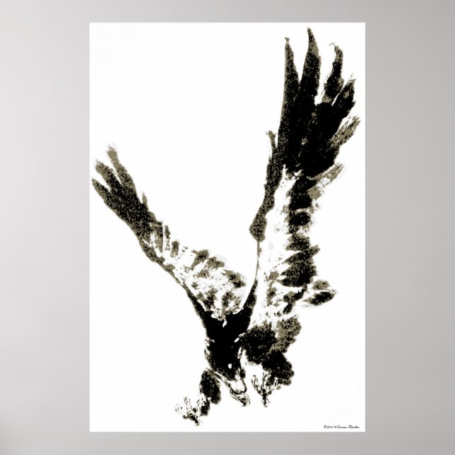 Impression d'aigle (Devant)