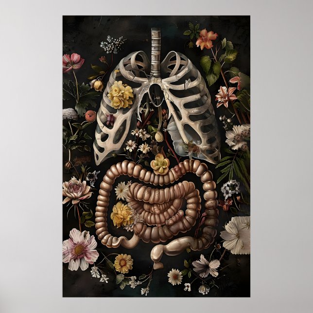 Impression d'anatomie de l'intestin floral, gothiq (Devant)
