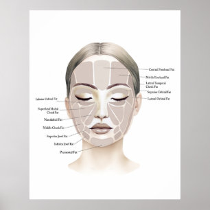 Impression d'anatomie du visage 1 