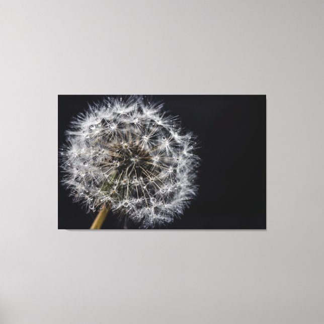 Impression Dandelion Art (Recto)