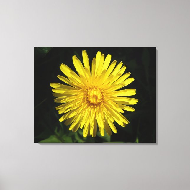 Impression Dandelion Canvas (Recto)