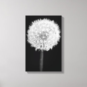 Impression Dandelion Canvas