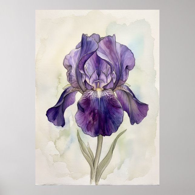 Impression d'art à l'aquarelle Iris Violet | Flora (Devant)