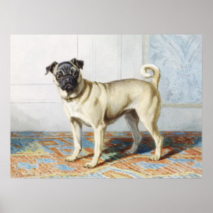Impression d'art aquarelle vintage de chien pug