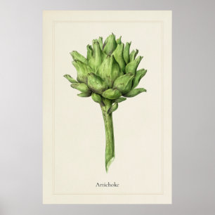 Impression d'art botanique d'artichaut culinaire a
