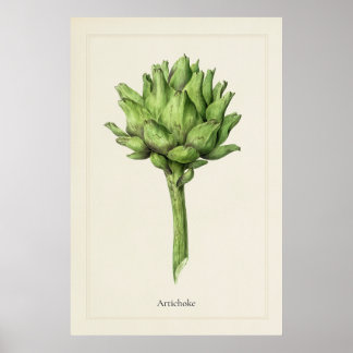 Impression d'art botanique d'artichaut culinaire a