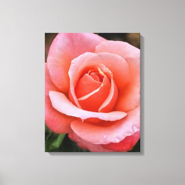 Impression d'art botanique Rose romantique (Recto)