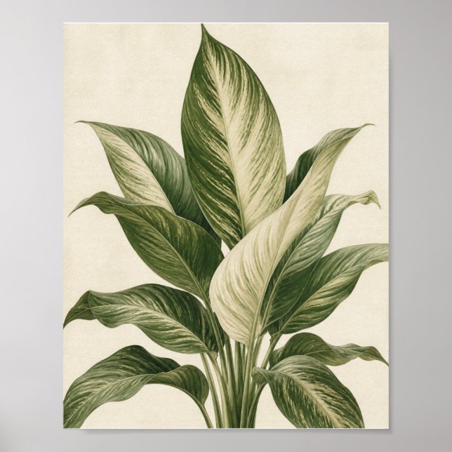 Impression d'art botanique tropical minimaliste –  (Devant)