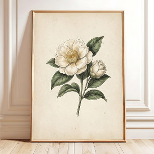 Impression d'art botanique vintage de fleur de thé