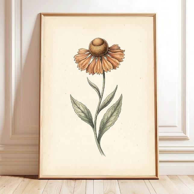 Impression d'art botanique vintage de Sneezeweed (Créateur téléchargé)