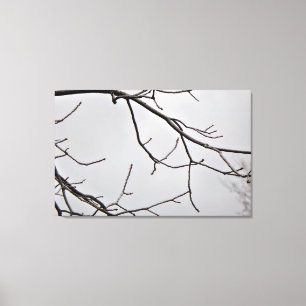 Impression d'art Ciel d'hiver