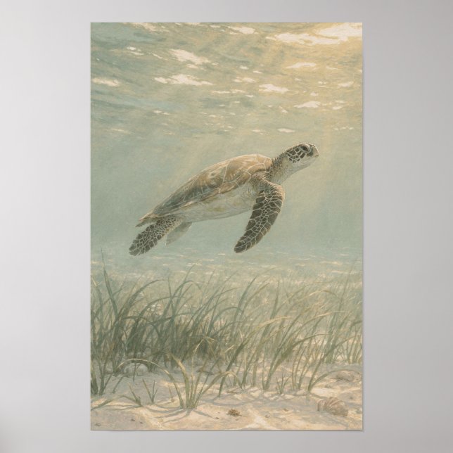 Impression d'art côtière et océanique de tortue ma (Devant)