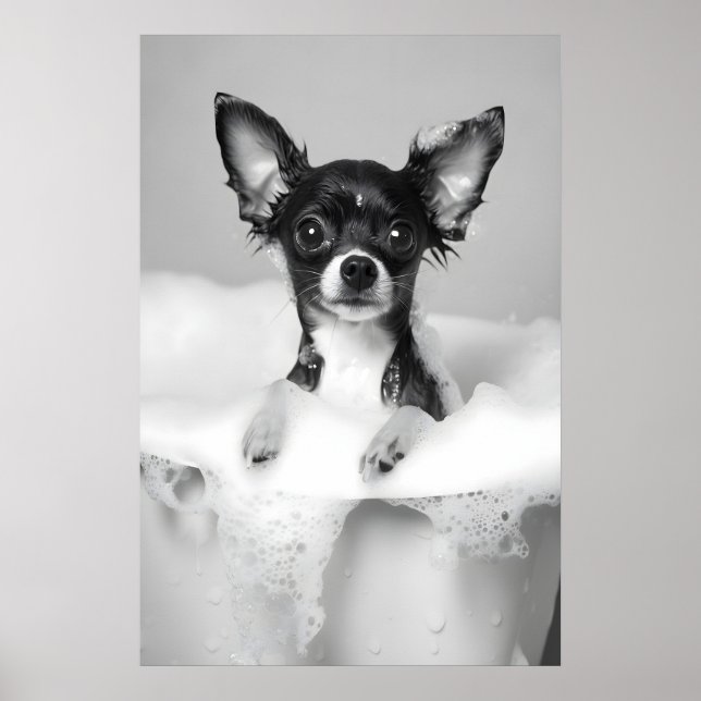 Impression d'art de bain moussant de Chihuahua, Ch (Devant)