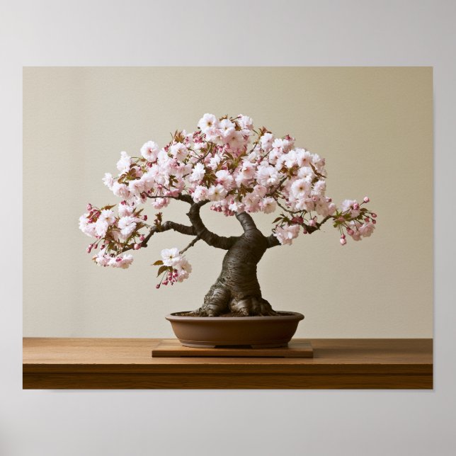 Impression d'art de Bonsaï de Fleurs de Cerisier | (Devant)