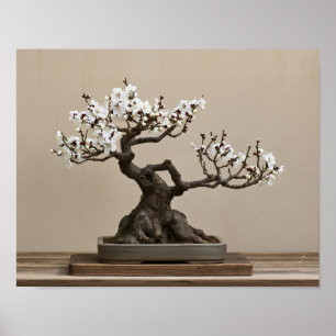 Impression d'art de bonsaï de prunier blanc Art