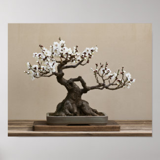 Impression d'art de bonsaï de prunier blanc | Art