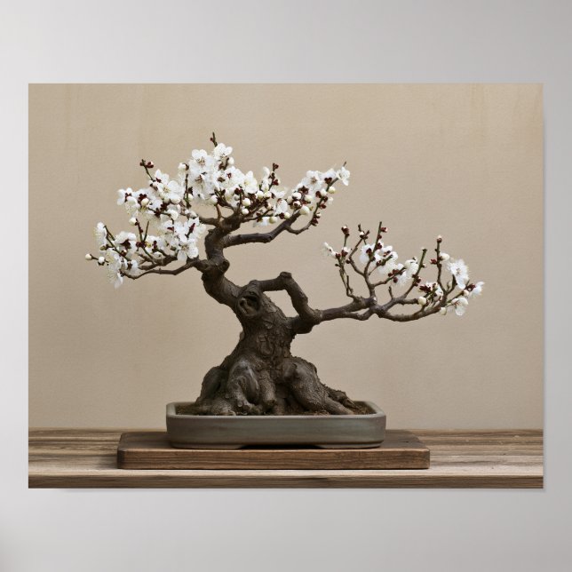 Impression d'art de bonsaï de prunier blanc | Art  (Devant)