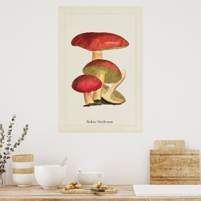 Impression d'art de champignon antique  (Cuisine)