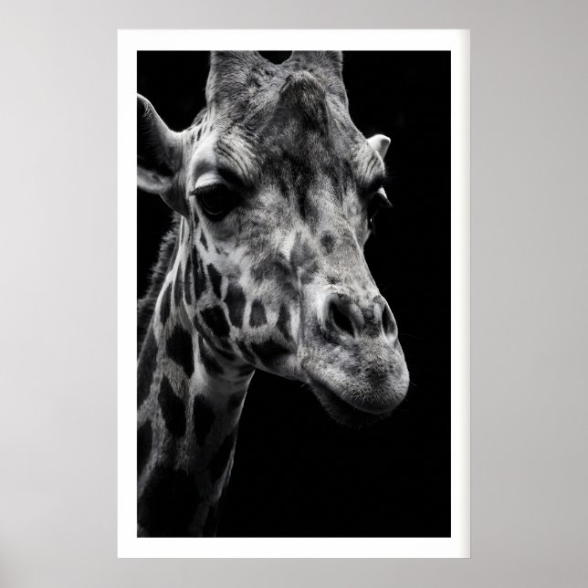 Impression d'art de girafe Photographie monochrome (Devant)