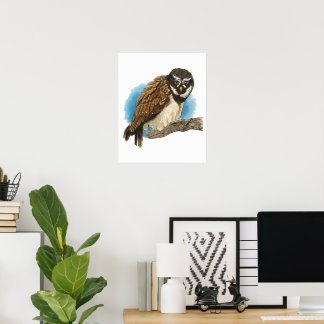 Impression d'art de Hibou Spectacled