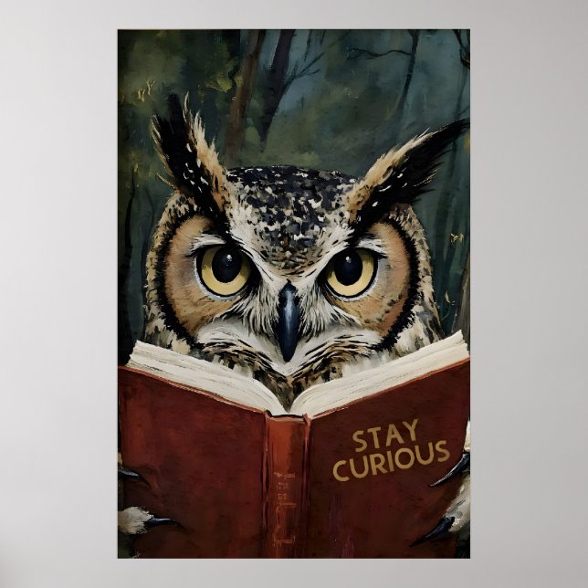 Impression d'art de lecture de hibou curieux - Amo (Devant)
