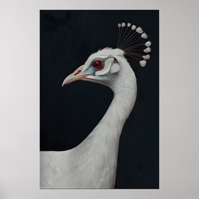 Impression d'art de paon blanc, Portrait d'animal  (Devant)