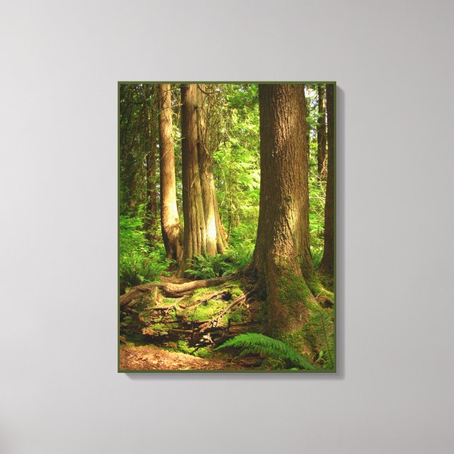 Impression d'art de paysage canadien Forêt de la c (Recto)