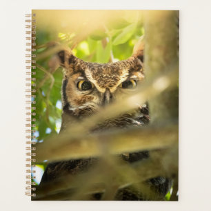 Impression d'art de photo de faune de hibou grand-