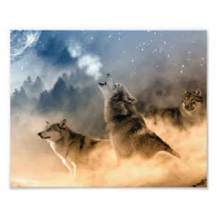 Impression d'art de photo de loups