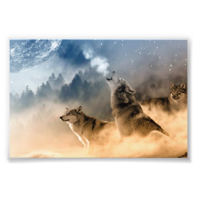 Impression d'art de photo de loups (Devant)