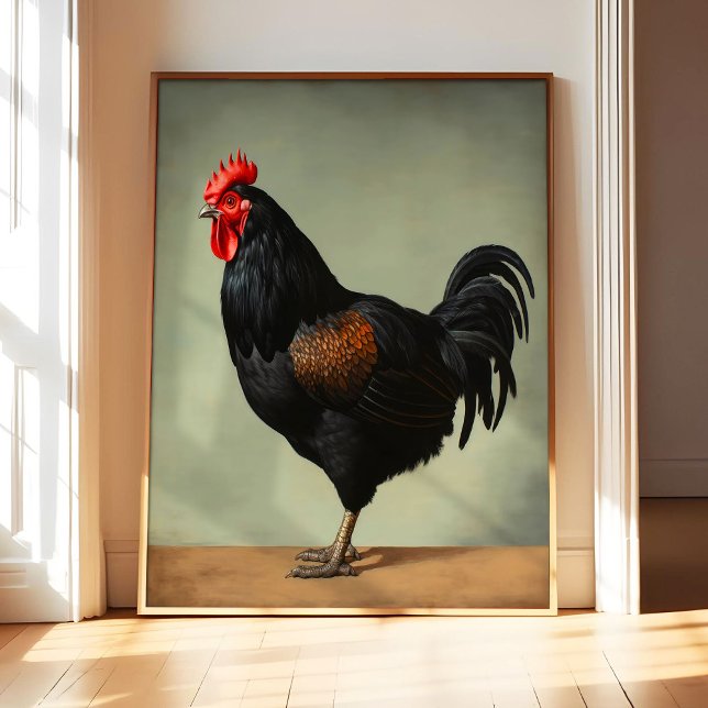 Impression d'art de poule Australorp, Affiche, Ois (Créateur téléchargé)