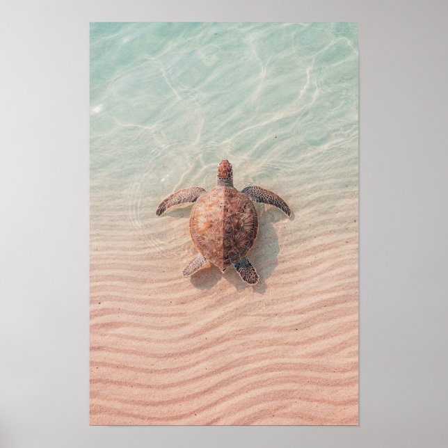 Impression d'art de tortue marine côtière et océan (Devant)