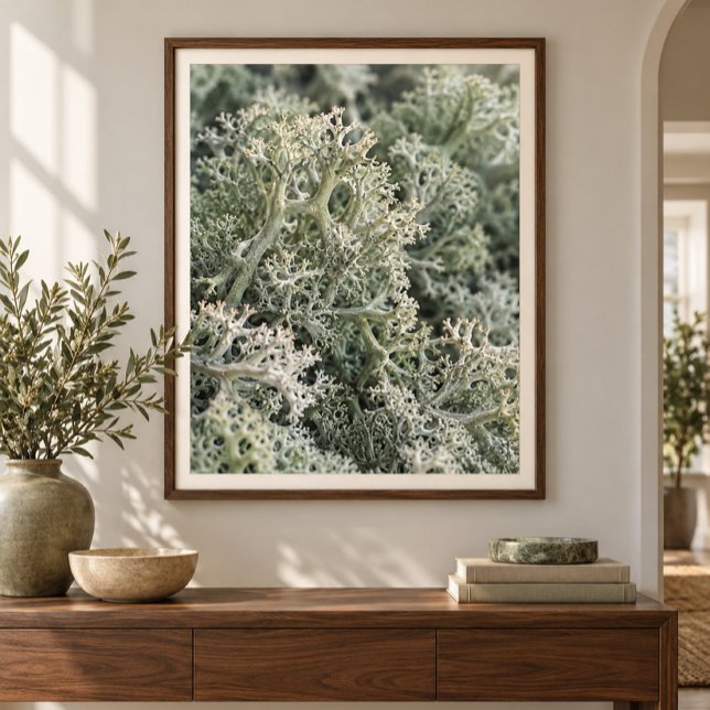 Impression d'art d'étude rapprochée de la mousse d (Styled display of Reindeer Moss Close Study Art Print. Frame, mat and furnishings shown for illustration; select framing options separately.)