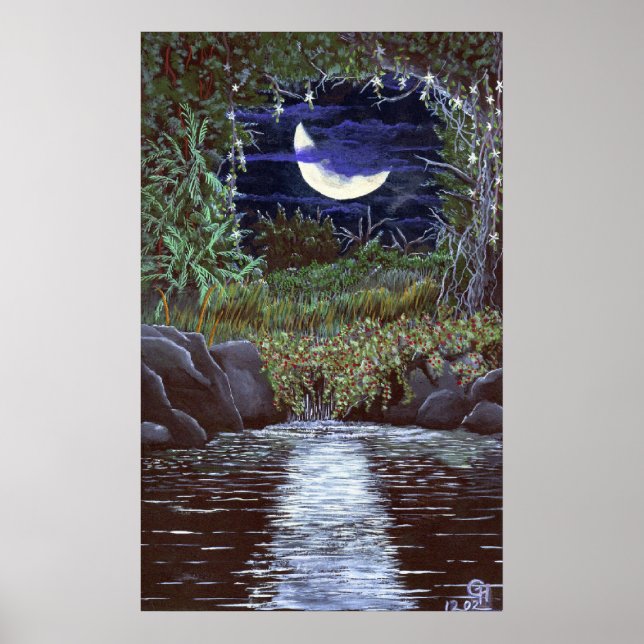 Impression d'art en acrylique de Moonlight Falls (Devant)