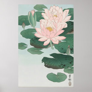 Impression d'art fine de nénuphar Ohara Koson Japo