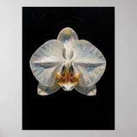 Impression d'art fine d'orchidée Phalaenopsis blan