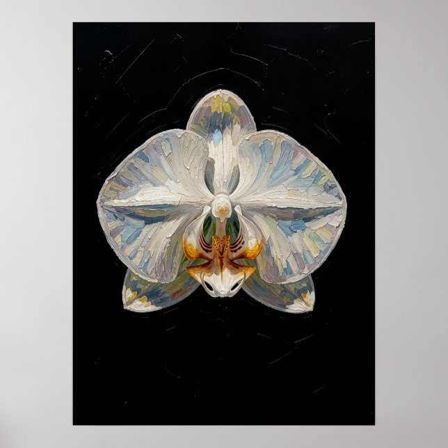 Impression d'art fine d'orchidée Phalaenopsis blan (Devant)