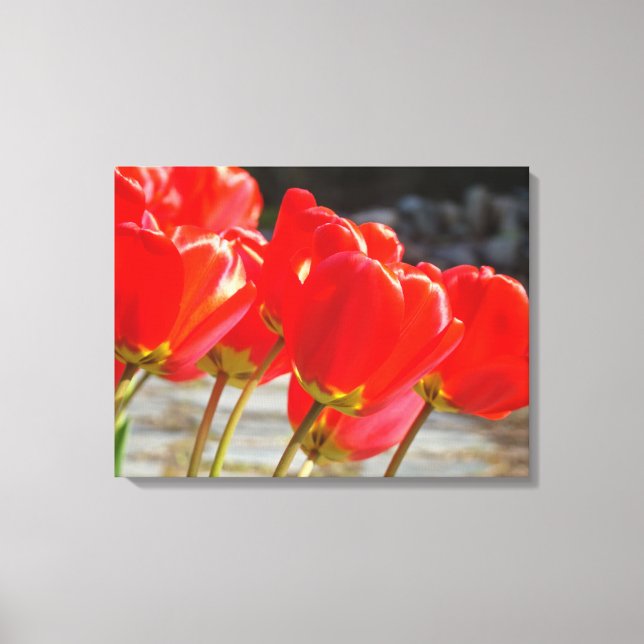 Impression d'art floral de tulipes sur toile Fleur (Recto)