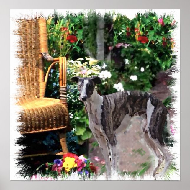 Impression d'art Greyhound (Devant)