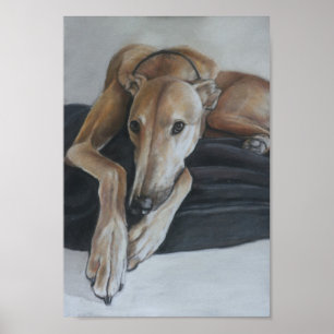 Impression d'art Greyhound