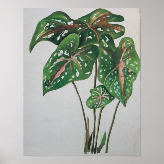 Impression d'art mural botanique de feuille verte (Devant)