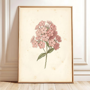 Impression d'art mural botanique Phlox