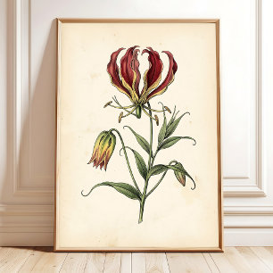 Impression d'art mural botanique vintage